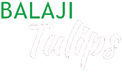 Balaji Tulips